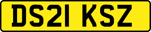 DS21KSZ