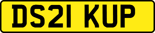 DS21KUP