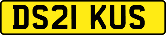 DS21KUS