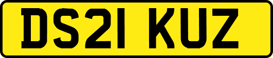 DS21KUZ