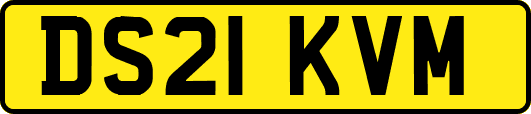 DS21KVM