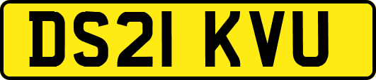 DS21KVU
