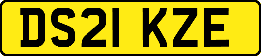 DS21KZE