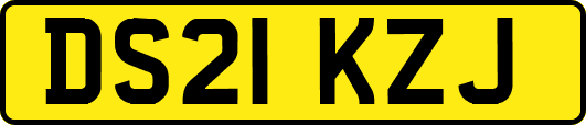 DS21KZJ