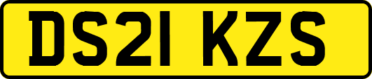 DS21KZS