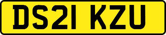 DS21KZU