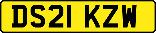 DS21KZW
