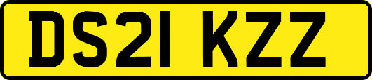 DS21KZZ
