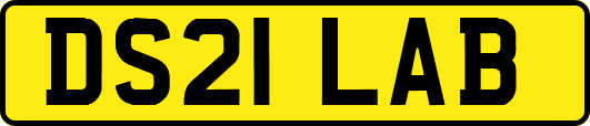 DS21LAB