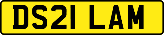 DS21LAM