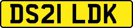 DS21LDK