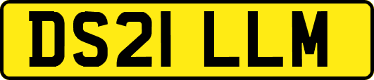 DS21LLM