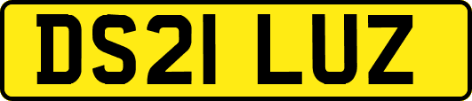 DS21LUZ