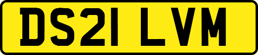 DS21LVM