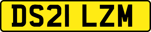 DS21LZM