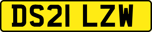DS21LZW