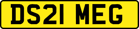 DS21MEG