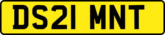 DS21MNT