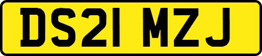 DS21MZJ