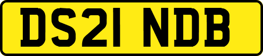 DS21NDB