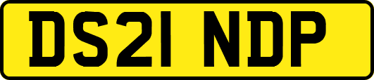 DS21NDP