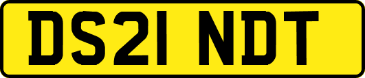 DS21NDT