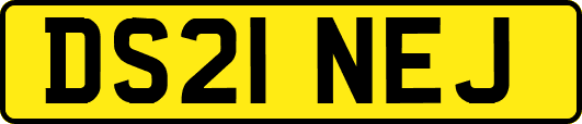 DS21NEJ