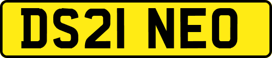DS21NEO