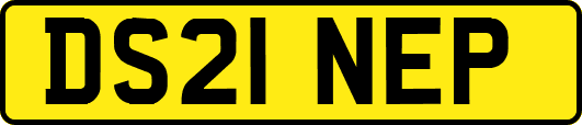 DS21NEP
