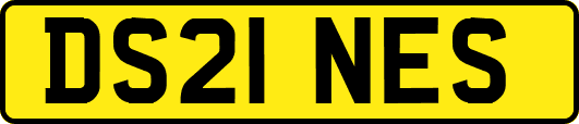 DS21NES
