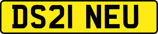 DS21NEU