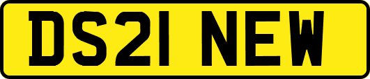 DS21NEW