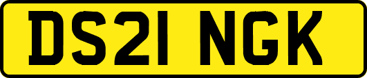 DS21NGK
