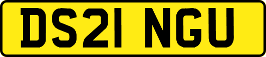 DS21NGU