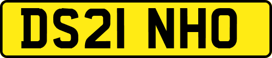 DS21NHO