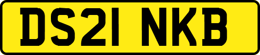 DS21NKB