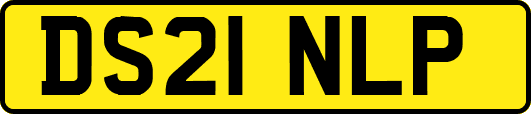 DS21NLP