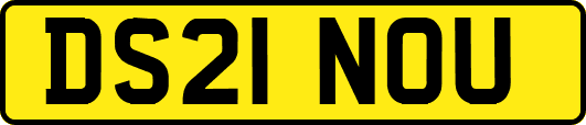 DS21NOU