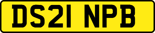 DS21NPB