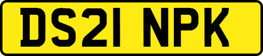 DS21NPK