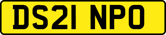 DS21NPO