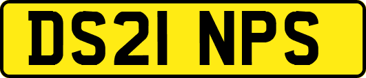 DS21NPS