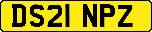 DS21NPZ