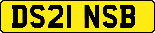 DS21NSB
