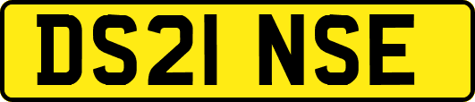 DS21NSE