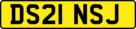 DS21NSJ