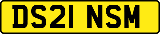 DS21NSM