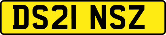 DS21NSZ