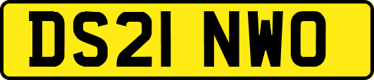 DS21NWO
