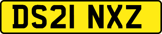 DS21NXZ
